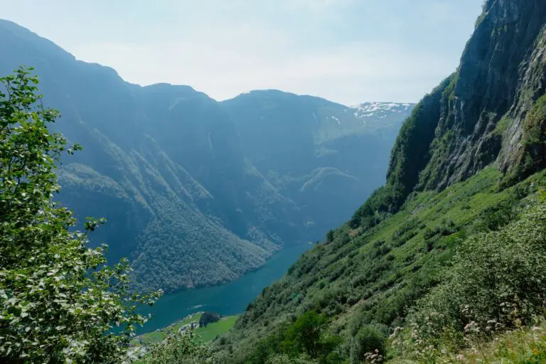 Aussicht auf einen norwegischen Fjord mit grünen Bergen