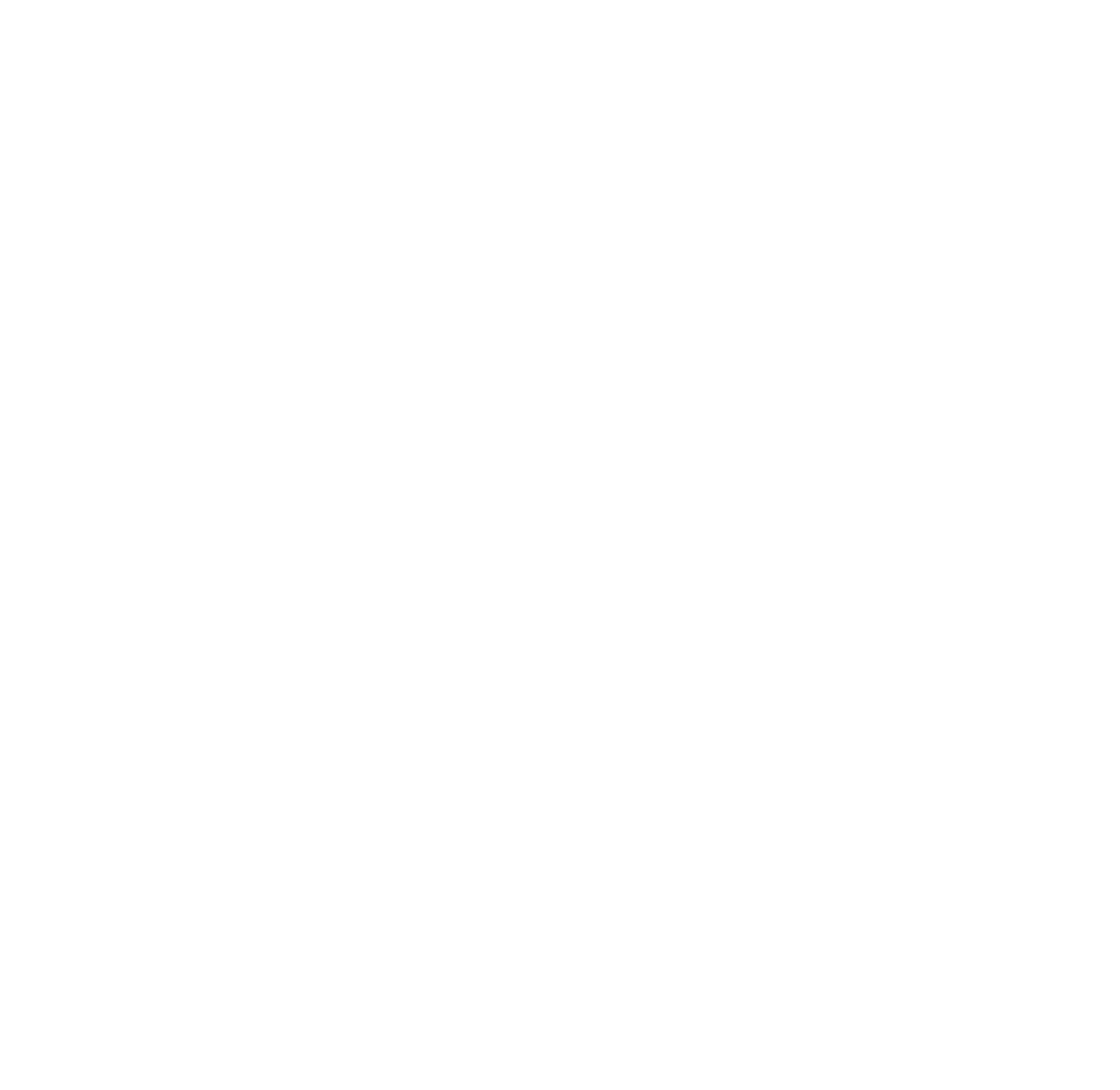 The kayak trip logo white