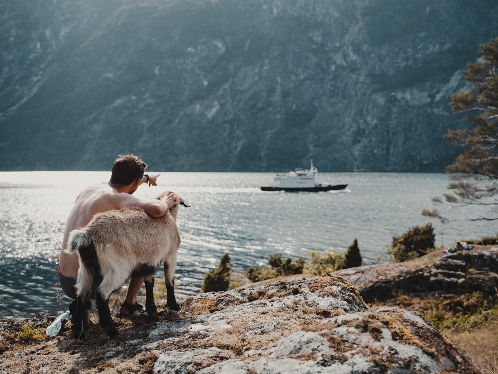 Menschen, die eine Ziege umarmen und auf ein Kreuzfahrtschiff schauen - Kajakfahren - Norwegen Fjord - Wandern in Norwegen - Kajakfahren - ab Flughafen Brüssel