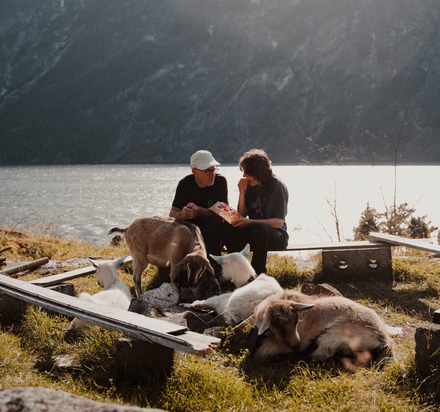 2 Personen, die Chips mit Ziegen essen - Kajakfahren - Norwegenfjord - Wandern in Norwegen - Kayaking - ab Flughafen Brüssel
